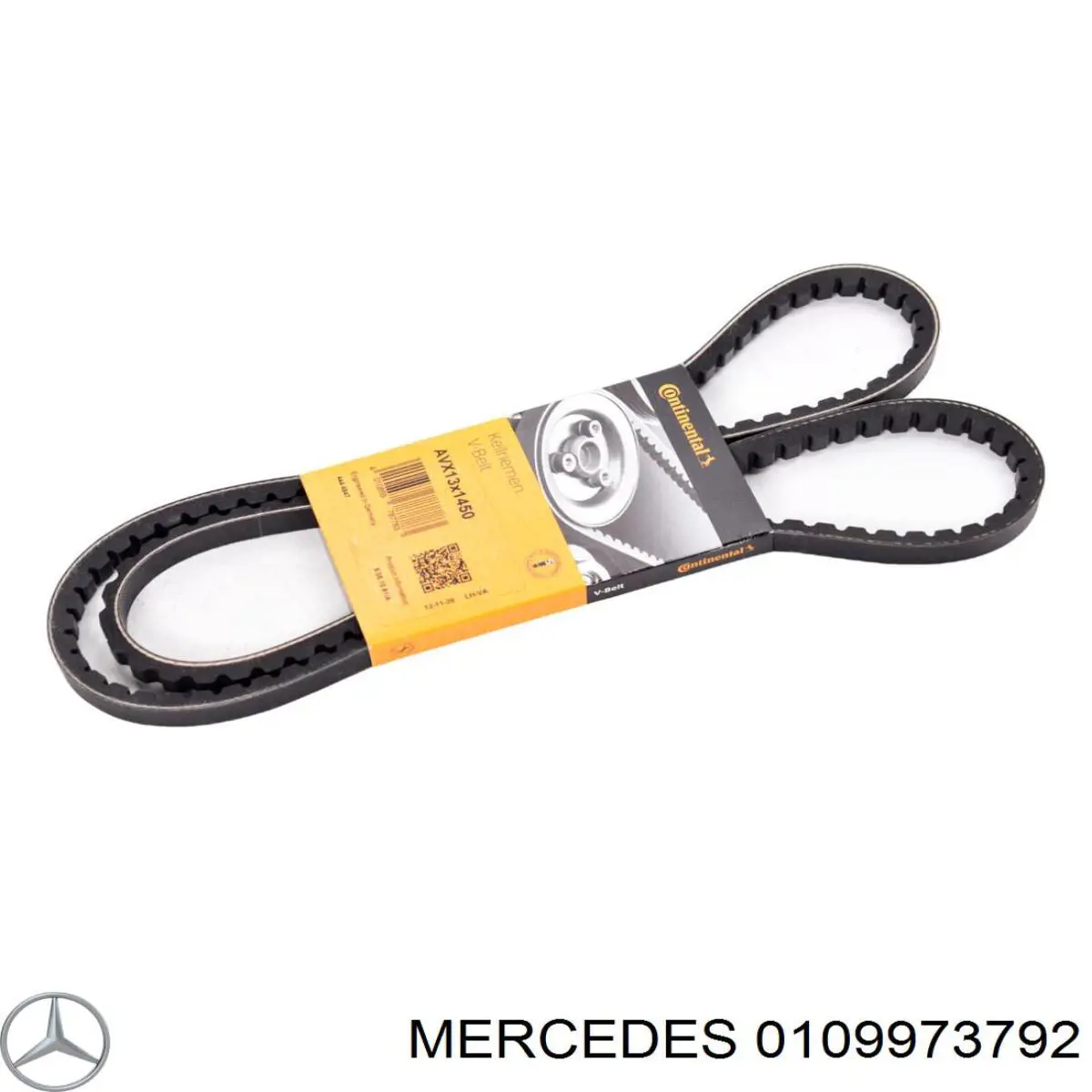 0109973792 Mercedes correa trapezoidal