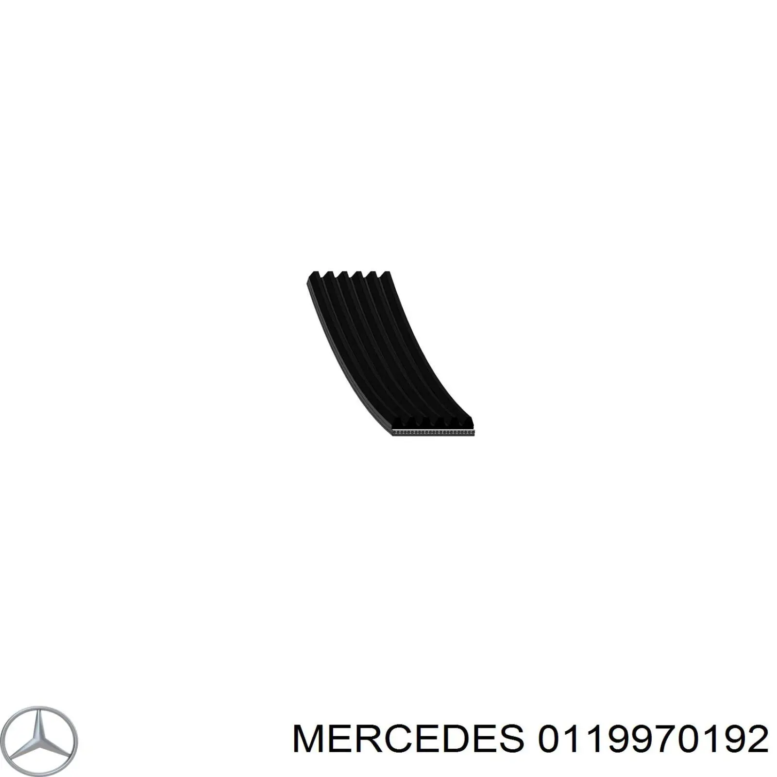 0119970192 Mercedes correa trapezoidal