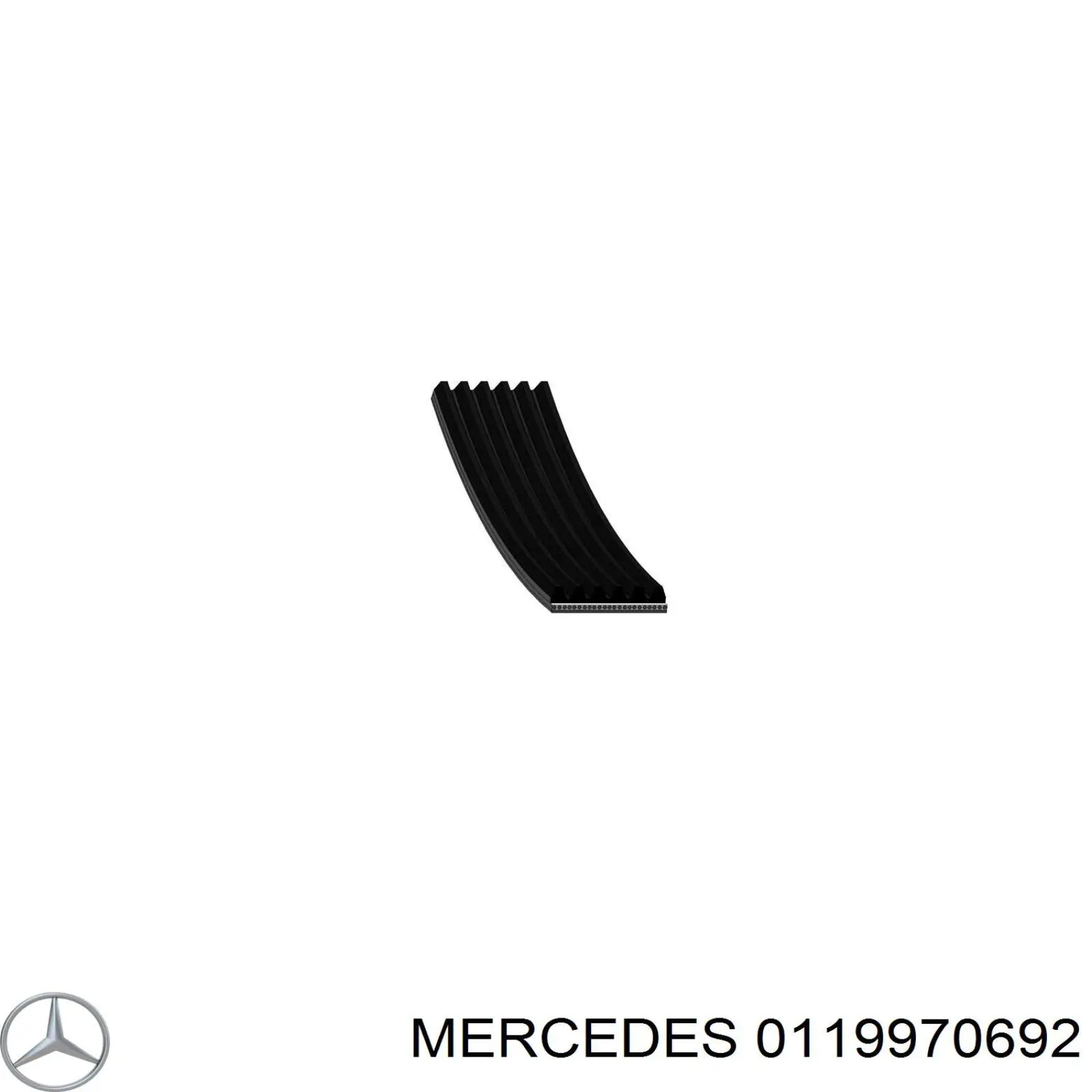 0119970692 Mercedes correa trapezoidal