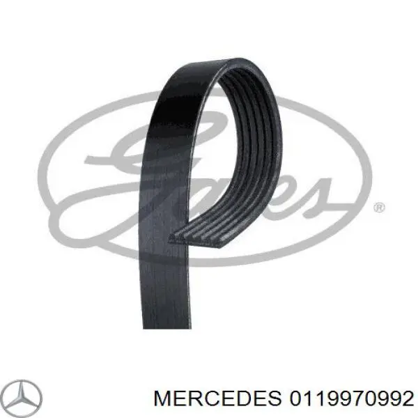 0119970992 Mercedes correa trapezoidal
