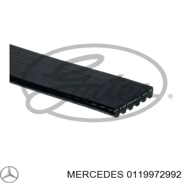0119972992 Mercedes correa trapezoidal