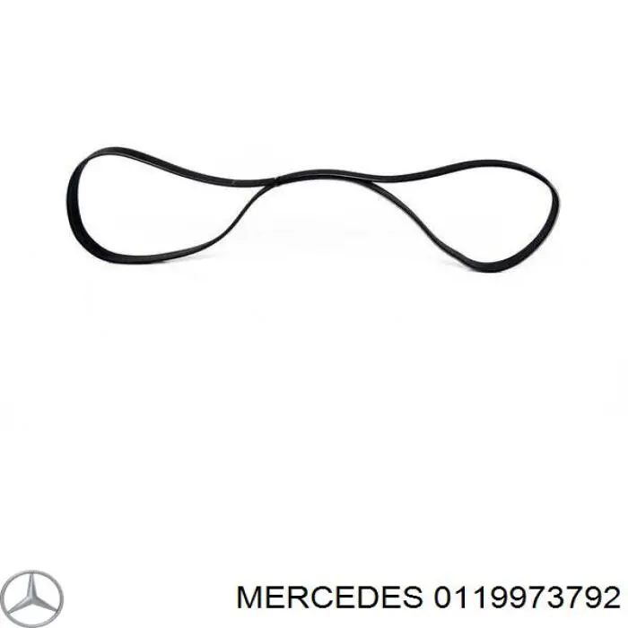0119973792 Mercedes correa trapezoidal