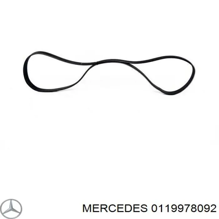 0119978092 Mercedes Correa poly v