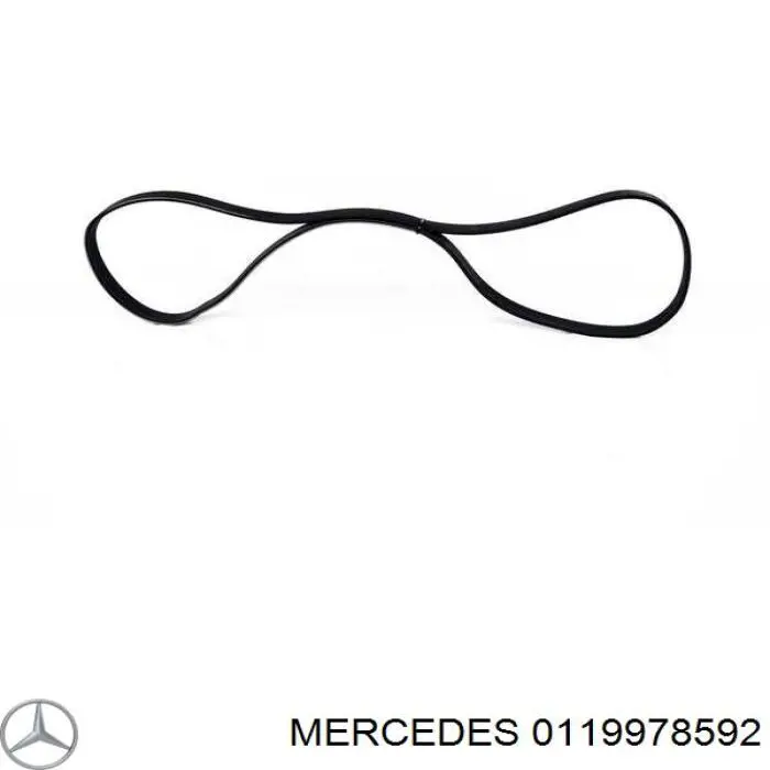 0119978592 Mercedes correa trapezoidal