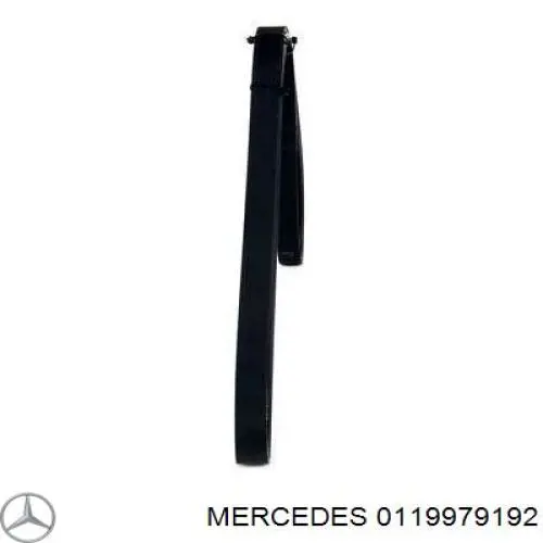 0119979192 Mercedes correa trapezoidal