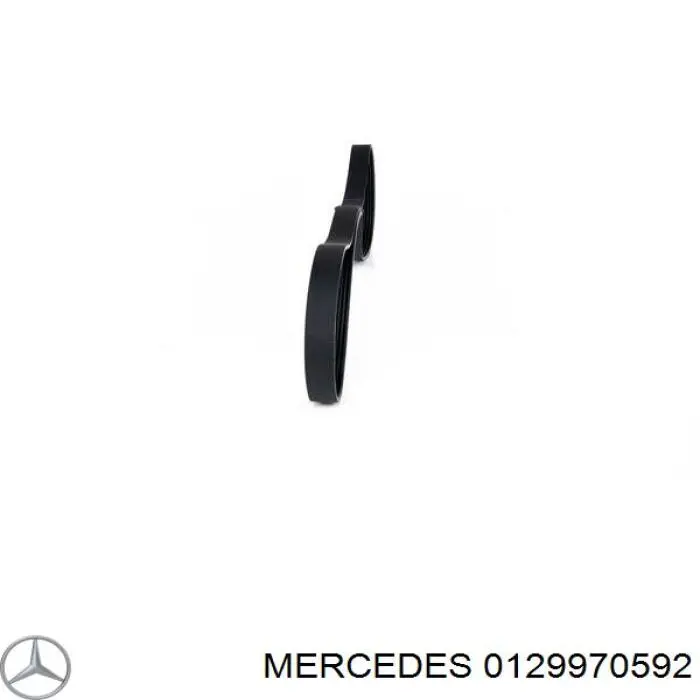 0129970592 Mercedes correa trapezoidal