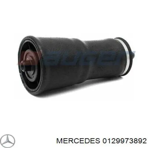 Correa de alternador 0129973892 Mercedes