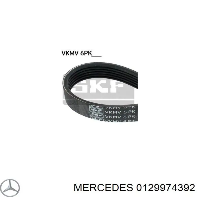 0129974392 Mercedes correa trapezoidal