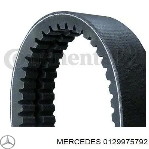 0129975792 Mercedes correa trapezoidal