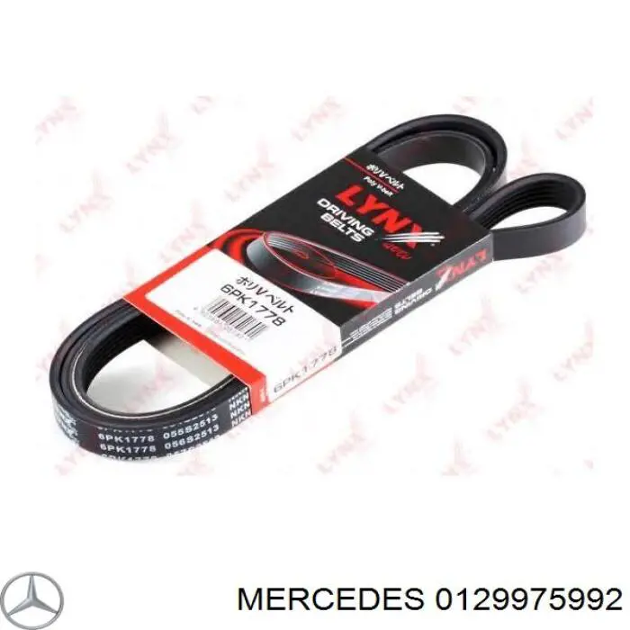 0129975992 Mercedes correa trapezoidal