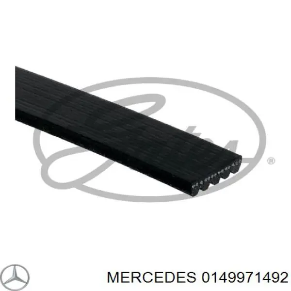 0149971492 Mercedes correa trapezoidal