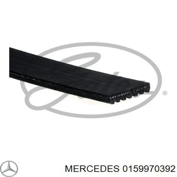 0159970392 Mercedes correa trapezoidal
