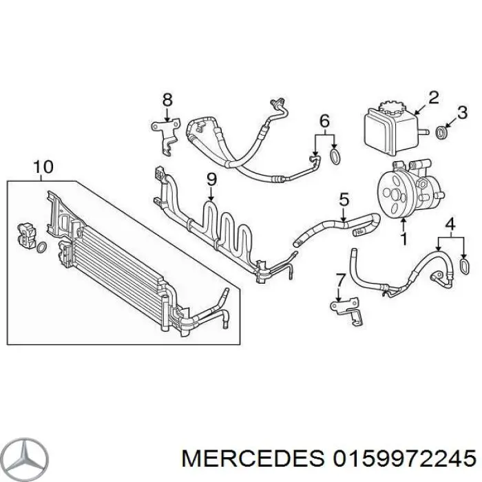 Anillo de sellado de los racores de la cremallera de dirección 0159972245 Mercedes