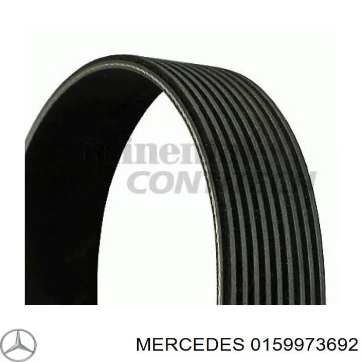 0159973692 Mercedes correa trapezoidal