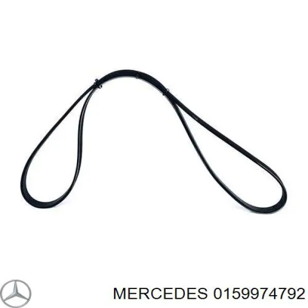 0159974792 Mercedes correa trapezoidal