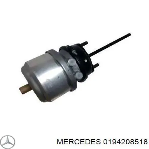 A019420851864 Mercedes