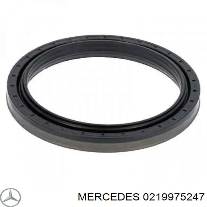 0219975247 Mercedes anillo retén, cigüeñal frontal