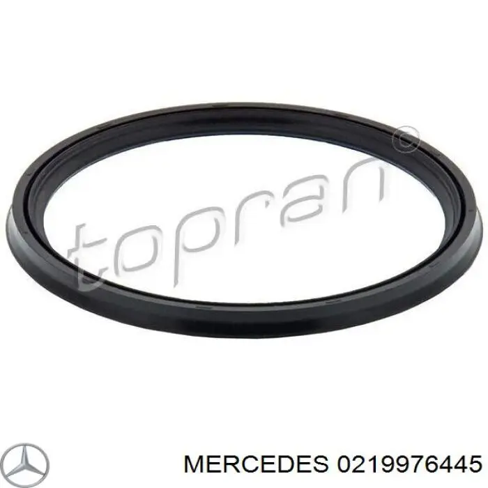 Comprar DCB082TT Thermotec Junta de turbina, inserto flexible
