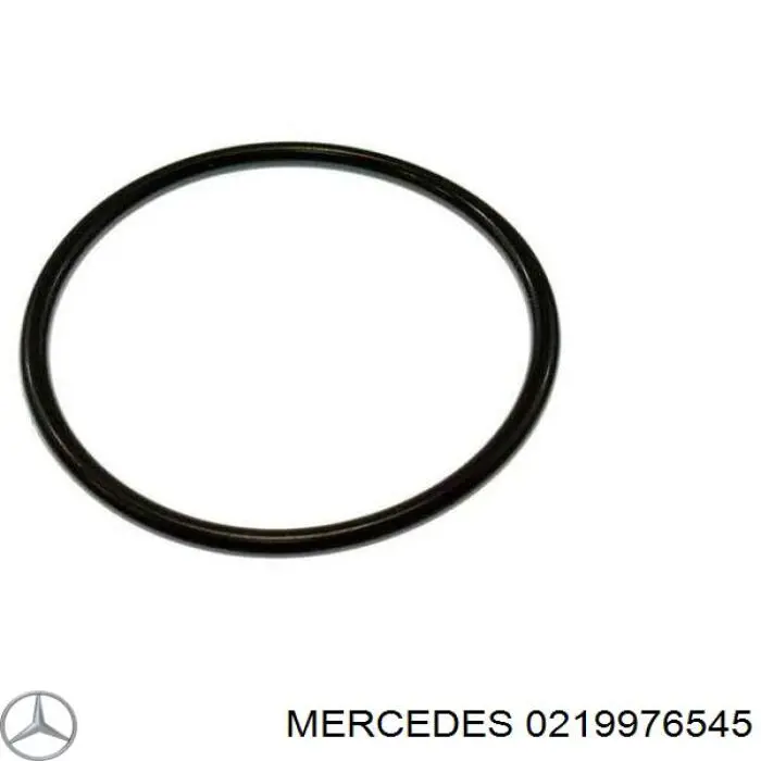 Comprar 0112101Q3D Renault (RVI) Junta tórica del tubo del intercooler