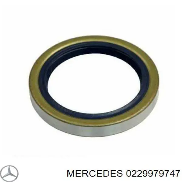 0229979747 Mercedes anillo retén, cubo de rueda delantero