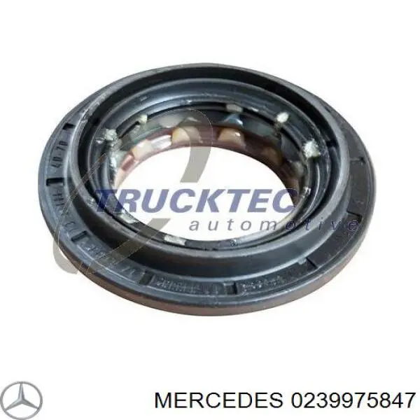 Comprar 0239975847 Mercedes Retén del piñón del diferencial trasero