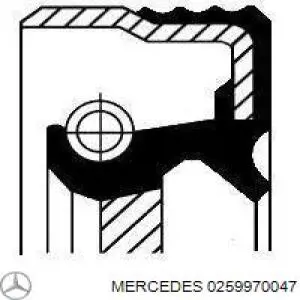 Retén del piñón del diferencial delantero Mercedes 0259970047 precio, desde 9,32 EUR