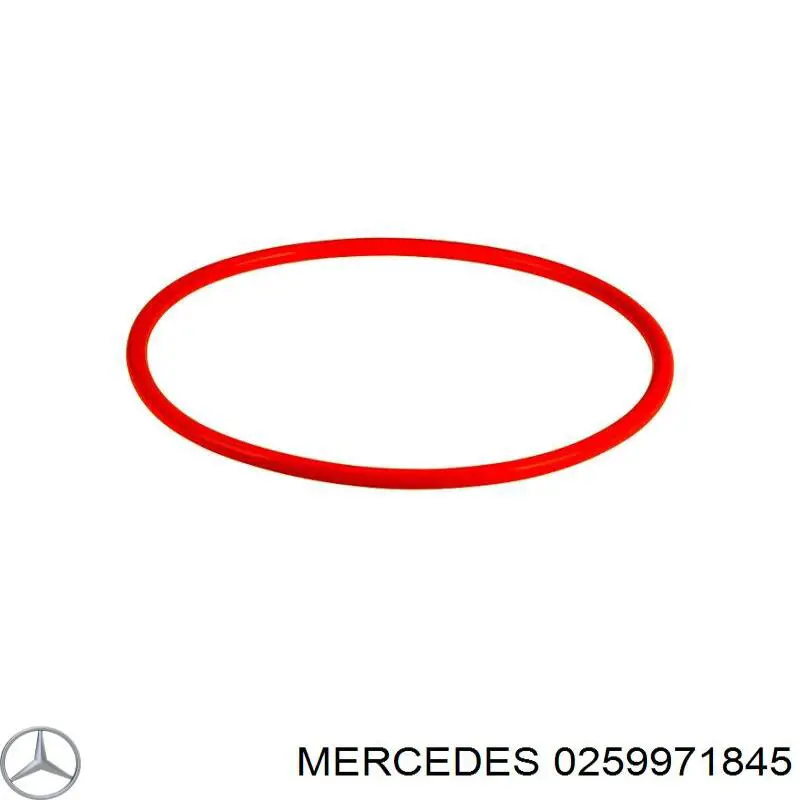 0259971845 Mercedes sello de la bomba de combustible
