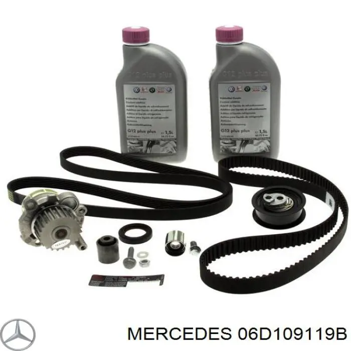 06D109119B Mercedes correa distribucion