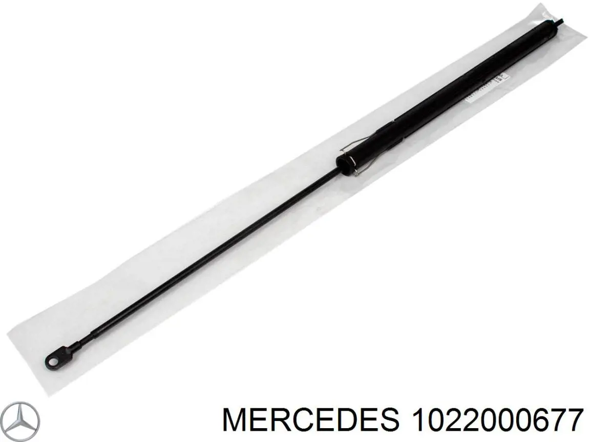 Embrague, ventilador de refrigeración Mercedes 1022000677 precio, desde 70,09 EUR