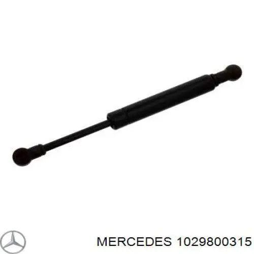 1029800315 Mercedes cojinete guía, embrague