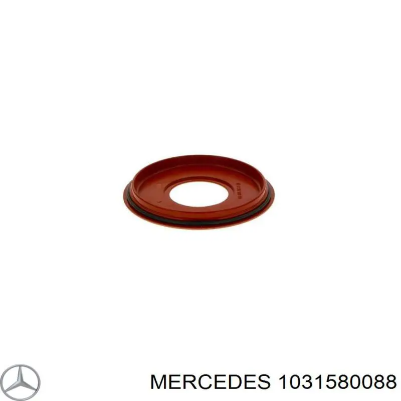 1031580088 Mercedes