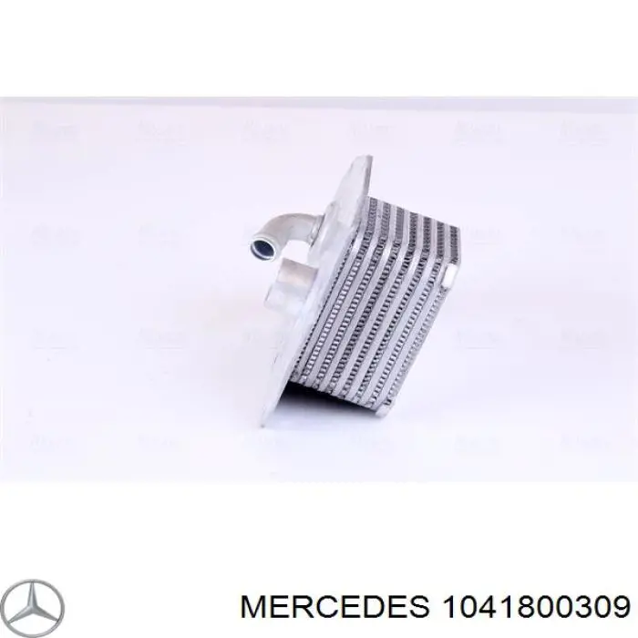 1041800309 Mercedes