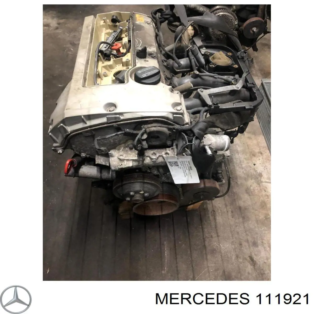 111921 Mercedes Motor completo