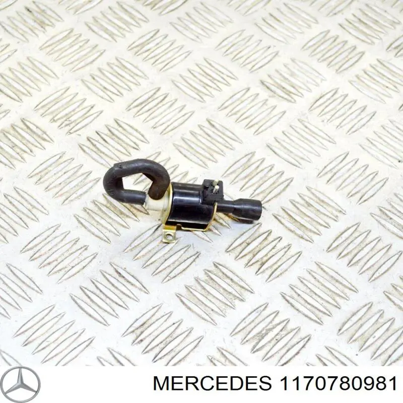 1170780981 Mercedes