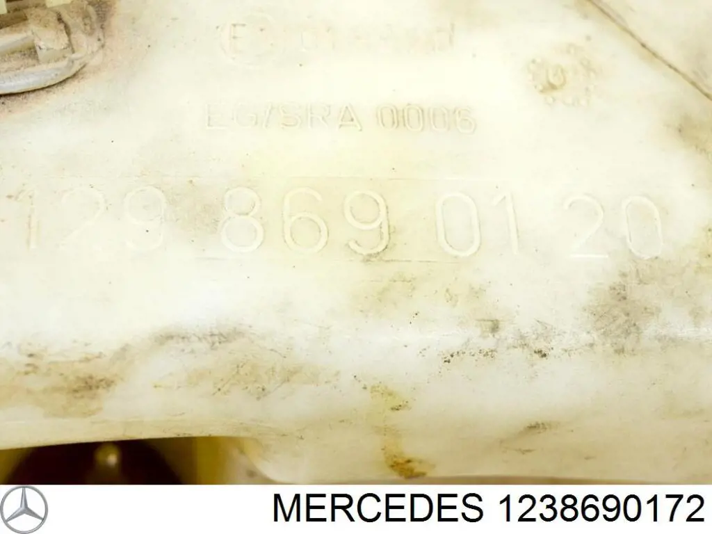 1238690172 Mercedes 