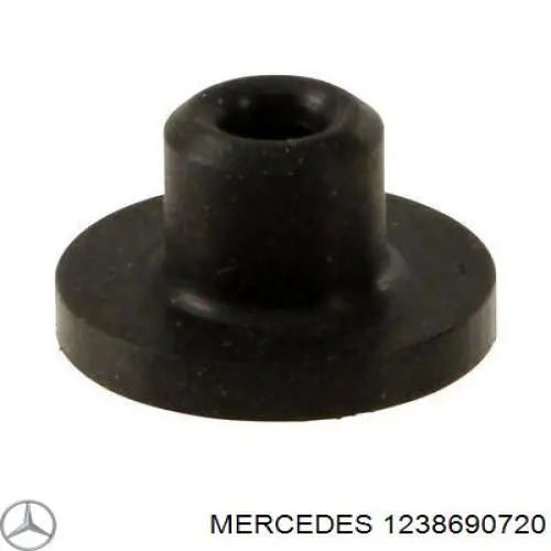 A1238690720 Mercedes