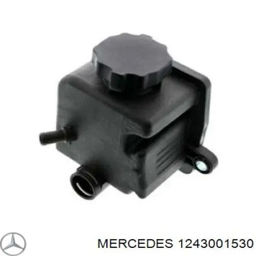 1243001530 Mercedes