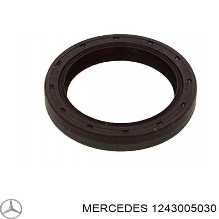 A1243005030 Mercedes Cable del acelerador