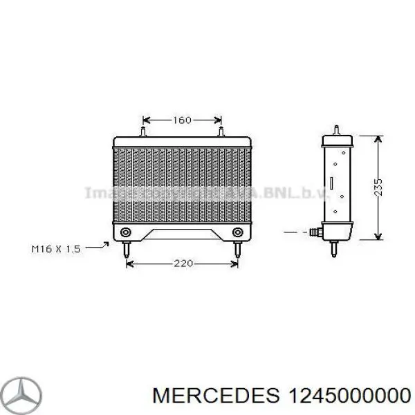 1245000000 Mercedes radiador de aceite