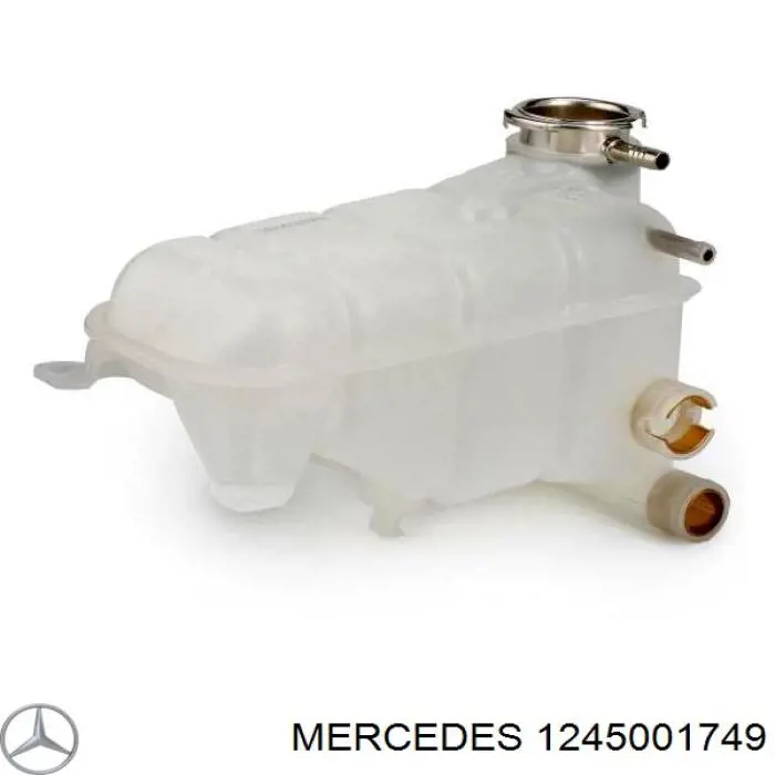 Botella expansion Mercedes 1245001749 precio, desde 39,20 EUR
