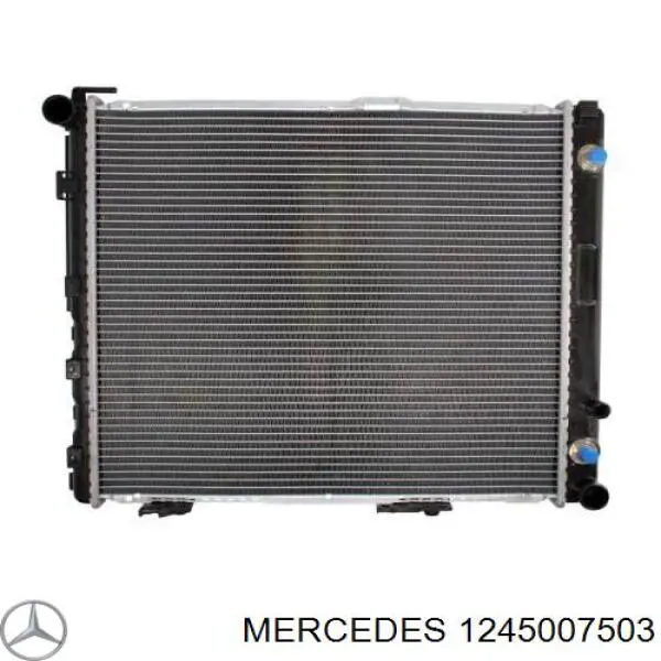 1245007503 Mercedes radiador