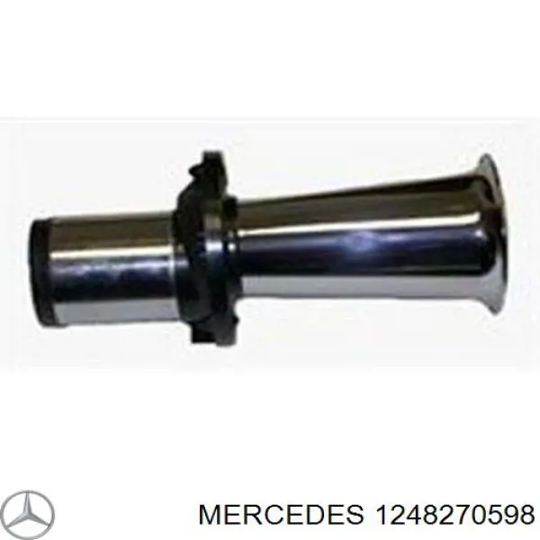 A1248270598 Mercedes