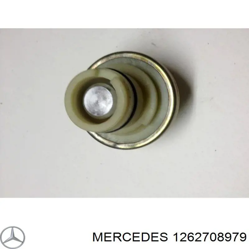 1262708979 Mercedes