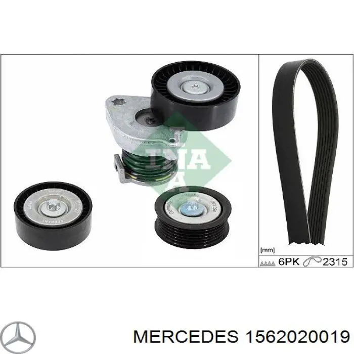 1562020019 Mercedes polea inversión / guía, correa poli v