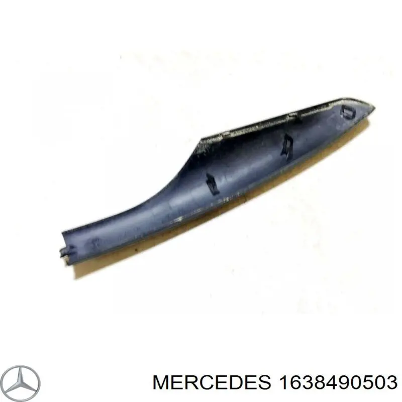A1638490503 Mercedes 
