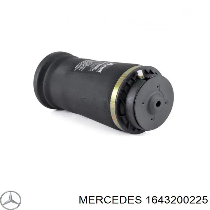 1643200225 Mercedes muelle neumático, suspensión, eje trasero
