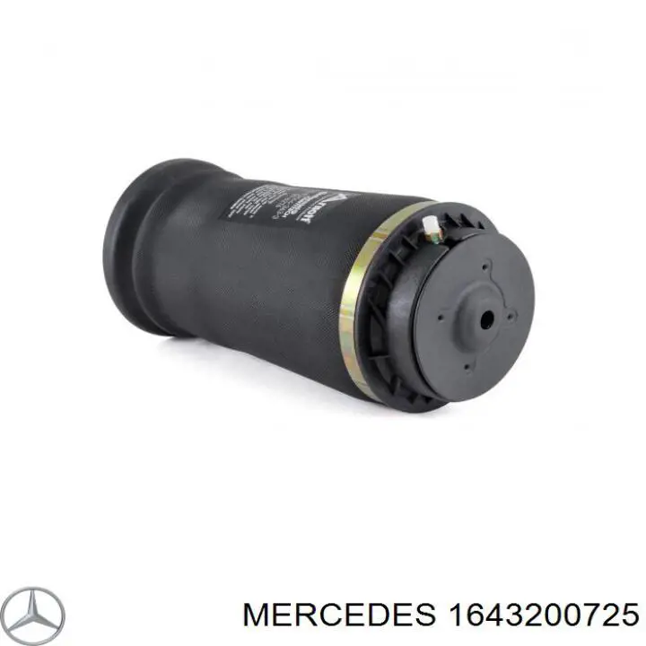 1643200725 Mercedes muelle neumático, suspensión, eje trasero