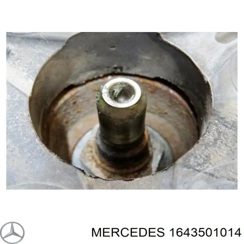 1643501014 Mercedes