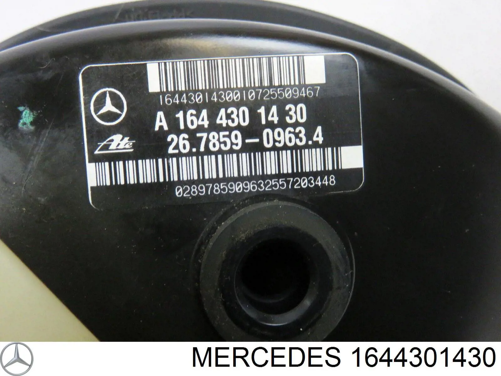  1644301430 Mercedes