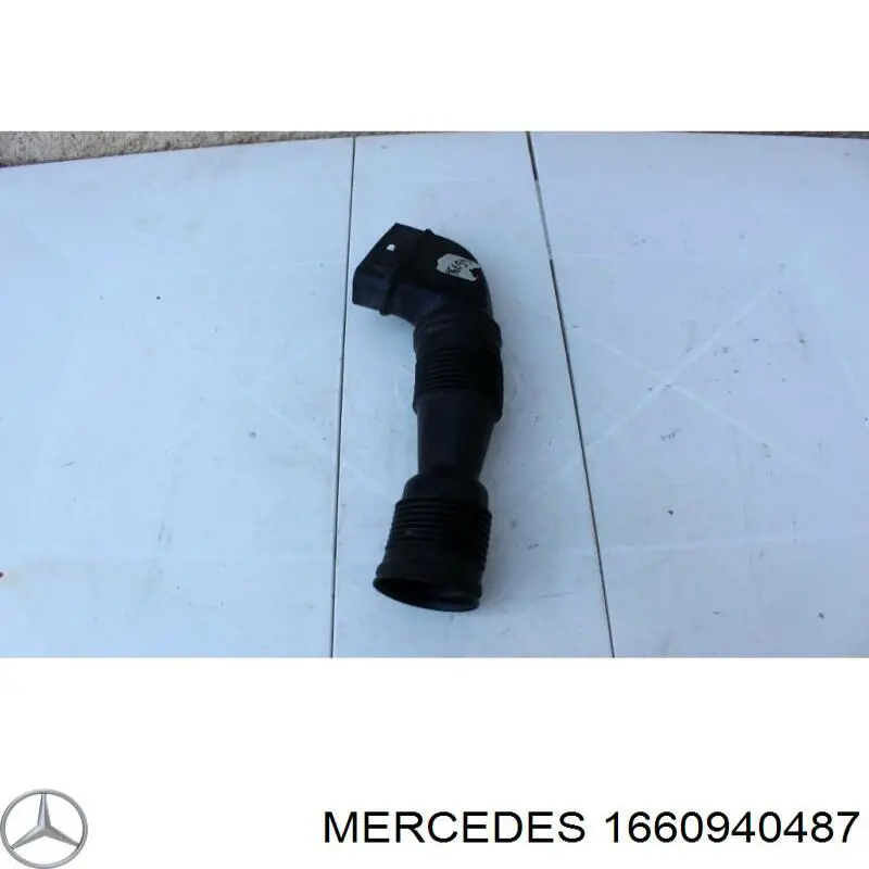 Entrada del filtro de aire A1660940387 Mercedes